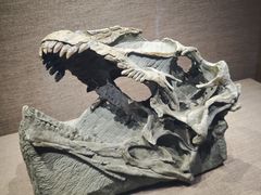 -自贡恐龙博物馆