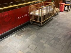 -川西坝子火锅(金沙1.0直营店)