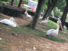 -无锡动物园·太湖欢乐园