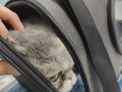-达爱动物医院·犬猫分区·CT·复杂眼科(远洋山水分院)