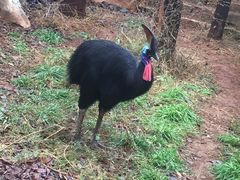 -昆明动物园
