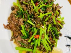 猫爪菇炒牛肉-下梅人家土菜馆(历史文化餐厅度假区店)