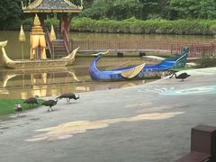 -西双版纳原始森林公园
