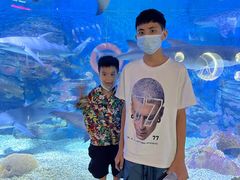 -烟台海昌鲸鲨海洋公园