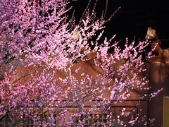 -慧因高丽寺