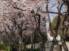 -大雁塔北广场音乐喷泉
