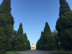 -墨尔本皇家植物园