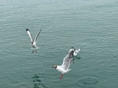 -青海湖二郎剑景区