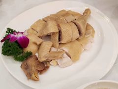 白切鸡-东江渔村(皇悦店)