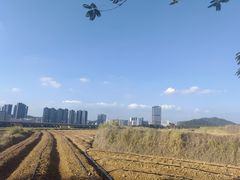 -光明小镇欢乐田园