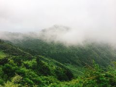 -南岳衡山风景名胜区