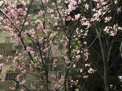 -兰桂坊·花园餐厅(西湖店)