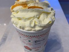 -伏小桃(明瓦廊店)