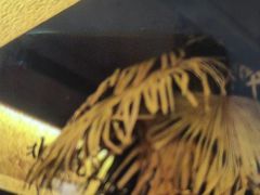 -北丐先生·野馄饨烧烤(长宁龙之梦店)
