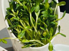 -浩爷羊蝎子火锅(望京店)