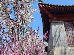 -北京鲁迅博物馆(北京新文化运动纪念馆鲁博馆区)