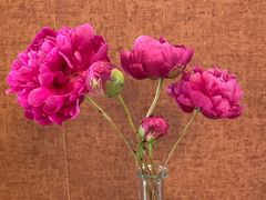 -上海1号私藏菜(静安店)