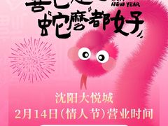 -大悦城(沈阳中街店)