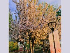 -海棠花溪(元大都城垣遗址公园)