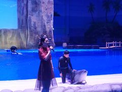 -华夏文旅海洋公园