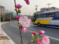 -姚记炒肝店(簋街店)