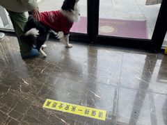 -宠爱国际动物医院·疑难骨科·心肾内科·皮肤科(太阳宫店)