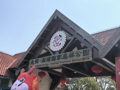 -上海海湾国家森林公园