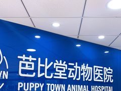 -芭比堂宠物医院·全科爱猫医院·仁德分院