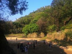 -深圳国际园林花卉博览园