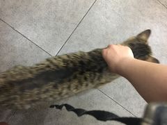 -段氏龙虾·烧烤·烤鱼(东书房路店)
