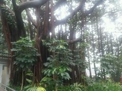 -人民公园(罗湖区)