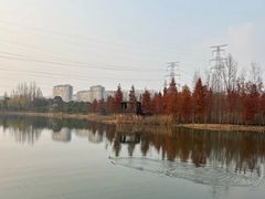 -昆山城市生态森林公园