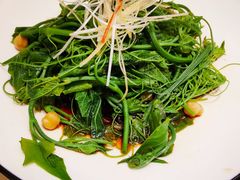 清香南瓜尖-巴依老爷新疆美食(清华东门店)