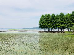 -东钱湖水上乐园(南门)