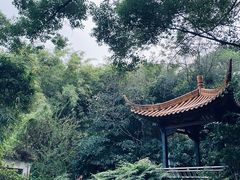 -广州兰圃