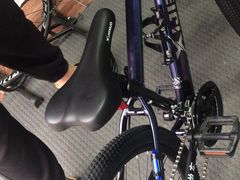 -道路口单车爱瓦士dahon大行