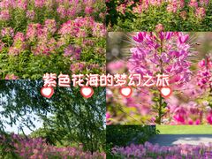-关你鬼室大型密室逃脱(佛山创意园店)