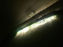 -迈格笙SPA·影院式足道·采耳(金桥店)