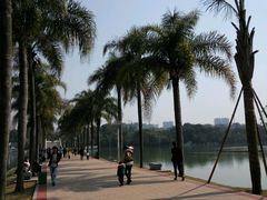 -南宁南湖公园