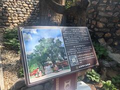 -红螺寺