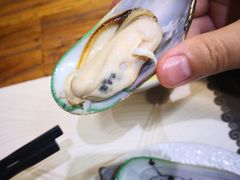 -無鱼鳞比