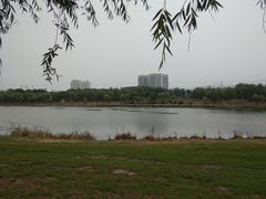 -门城湖公园