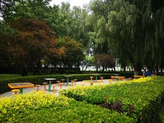 -莲花池公园