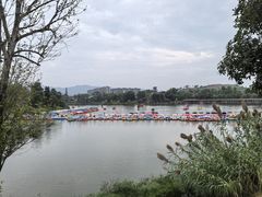 -枫香湖儿童公园