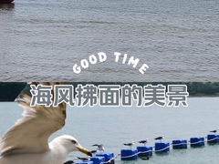 -刘公岛景区