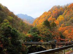 -秦岭风景区
