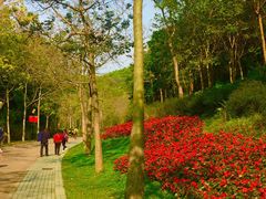 -云溪植物园
