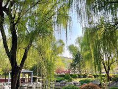 -唐城墙遗址公园