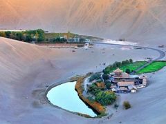 -许记驴肉黄面胡杨焖饼