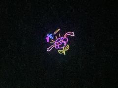 -南宁花花大世界景区